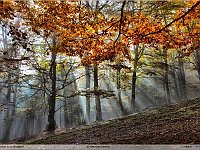autunno 2011 (1)